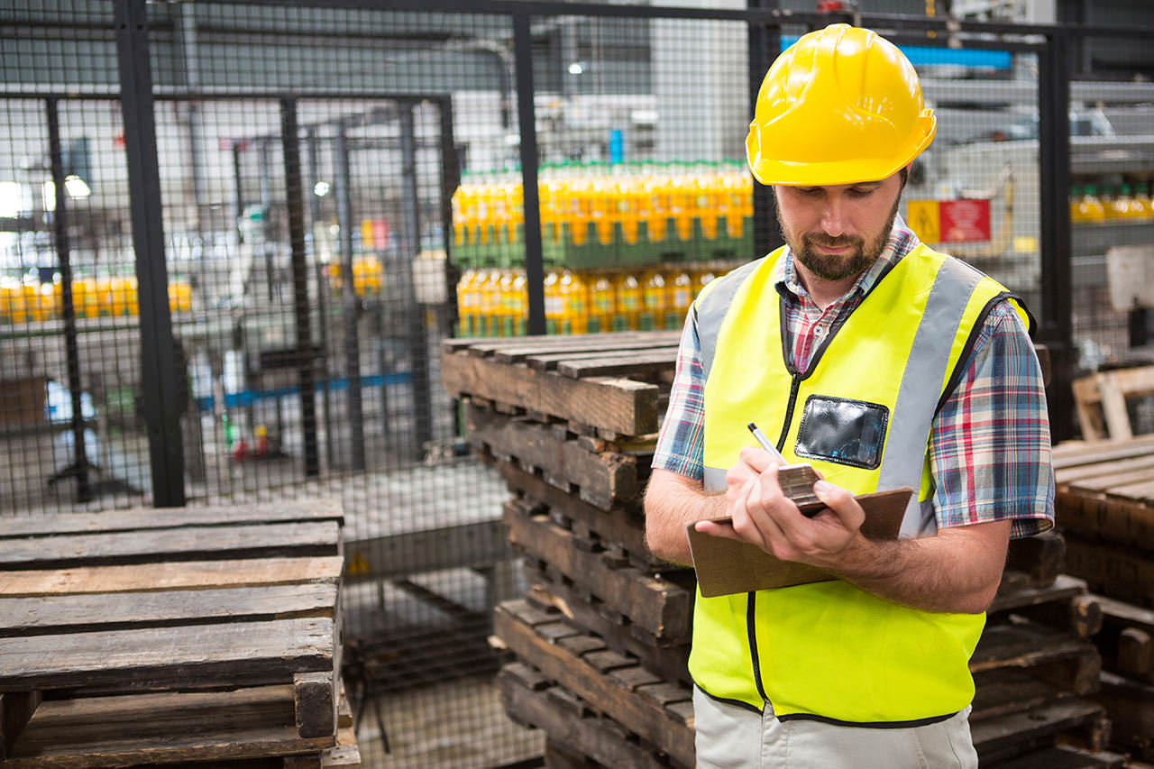 trabajador-observando-los-productos Medio Ambiente Lluis Creus