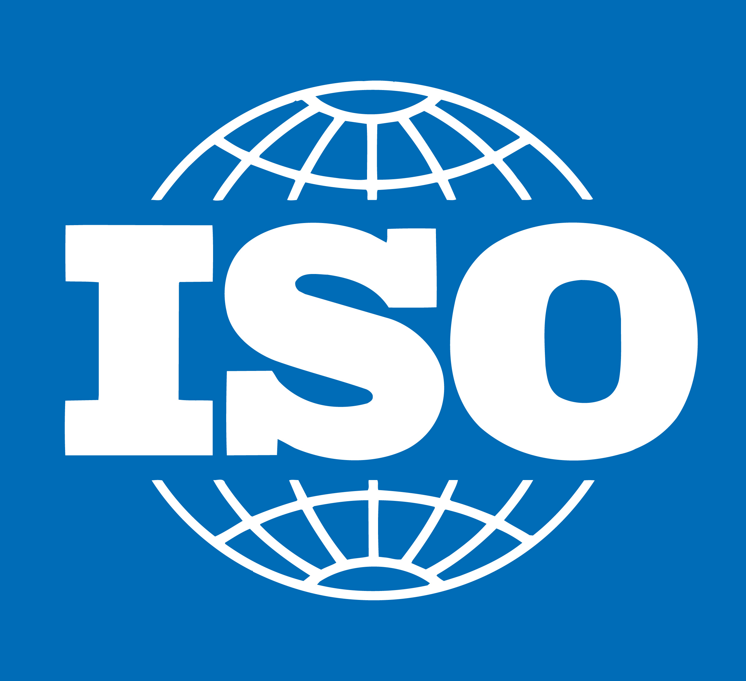 iso-31 FUELLE CUERO PROTECCIÓN